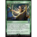 (Foil) Verte - Le sacrifice de Galuf (U) [FIN]