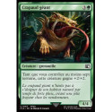 (Foil) Verte - Crapaud géant (C) [FIN]