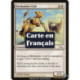 (Foil) Blanche - Jeune fauve chasseciel (C) [MRD]