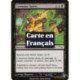 (Foil) Noire - Absorption de l'esprit (C) [MRD]