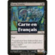 (Foil) Noire - Rôdeur de Mephidross (C) [MRD]