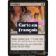 (Foil) Noire - Irradiation (C) [MRD]