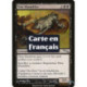 (Foil) Noire - Escogriffe nim (U) [MRD]