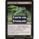 (Foil) Noire - Gémissement du nim (C) [MRD]