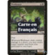 (Foil) Noire - Porteuse de malheur (U) [MRD]