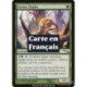 (Foil) Verte - Orphe brun (U) [MRD]