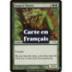 (Foil) Verte - Chasseur fangren (C) [MRD]