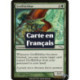 (Foil) Verte - Groffskithur (C) [MRD]