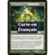 (Foil) Verte - Bourdonnement du Radix (R) [MRD]