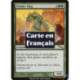 (Foil) Verte - Limace moisie (R) [MRD]