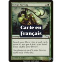 (Foil) Verte - Regard sylvestre (U) [MRD]