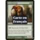 (Foil) Verte - Exilé de Tel-Jilad (C) [MRD]