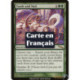 (Foil) Verte - Dent et ongle (R) [MRD]