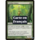 (Foil) Verte - Menuisier viridian (C) [MRD]