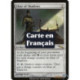 (Foil) Incolore - Autel des ombres (R) [MRD]