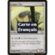 (Foil) Incolore - Myr de cuivre (C) [MRD]