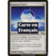 (Foil) Incolore - Matrice d'amortissement (R) [MRD]