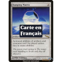 (Foil) Incolore - Matrice d'amortissement (R) [MRD]