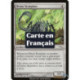 (Foil) Incolore - Scorpion de Mephidross (C) [MRD]