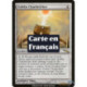 (Foil) Incolore - Rotefeu gobelin (R) [MRD]