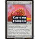 (Foil) Incolore - Gantelets en peau de golem (U) [MRD]