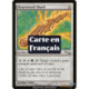 (Foil) Incolore - Écharde de Boiscœur (U) [MRD]