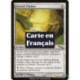 (Foil) Incolore - Collier porte-malheur (R) [MRD]