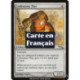 (Foil) Incolore - Myr de magnétite (R) [MRD]