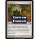 (Foil) Incolore - Esclavagiste d'âmes (R) [MRD]