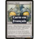(Foil) Incolore - Bouclier funèbre (U) [MRD]