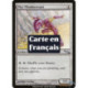 (Foil) Incolore - Cérébroservant myr (U) [MRD]