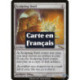 (Foil) Incolore - Acier sculpteur (R) [MRD]