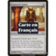 (Foil) Incolore - Armure de guivre cendrée (C) [MRD]