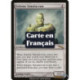 (Foil) Incolore - Simulacre solennel (R) [MRD]