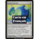 (Foil) Incolore - Sanctuaire du Synode (U) [MRD]