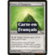(Foil) Incolore - Tour des champions (R) [MRD]