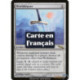 (Foil) Incolore - Pourfendeur de monde (R) [MRD]