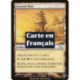 (Foil) Terrain - Ancienne tanière (C) [MRD]