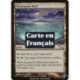 (Foil) Terrain - Puits des scintimites (U) [MRD]