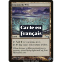 (Foil) Terrain - Puits des scintimites (U) [MRD]
