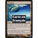 (Foil) Terrain - Guet des nuages (C) [MRD]