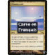 (Foil) Terrain - Vide rayonnant (R) [MRD]