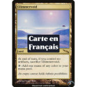 (Foil) Terrain - Vide rayonnant (R) [MRD]