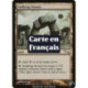 (Foil) Terrain - Pierres mouvantes // Pierres en chasse (U) [MRD]