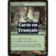 (Foil) Terrain - Arbre des Récits (C) [MRD]