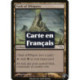 (Foil) Terrain - Caveau des chuchotements (C) [MRD]