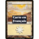 (Foil) Terrain - Plaine (V1) (L) [MRD]
