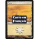 (Foil) Terrain - Plaine (V2) (L) [MRD]