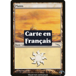 (Foil) Terrain - Plaine (V2) (L) [MRD]