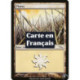 (Foil) Terrain - Plaine (V4) (L) [MRD]